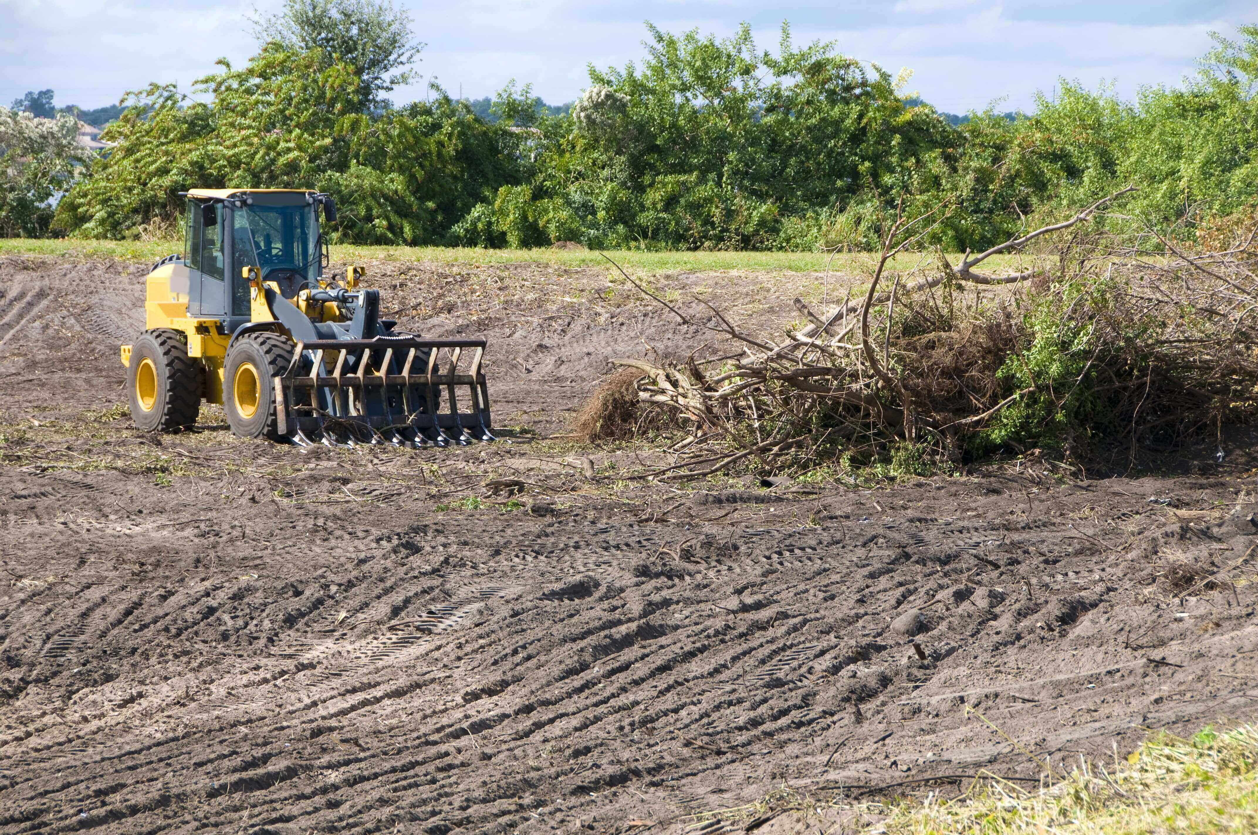 construction-tips-for-wetland-areas